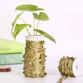 thumbnail image 4 of FENGGUIQU Rollo De Cuerda Decorativa Con Hojas Artificiales De Ratán Para Bricolaje Y Natural, 4 of 8