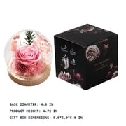 DFS Preserved Rose in Glass Dome, Forever Eternal Rose Flowers Bouquet, Long-Lasting Real Flowers for Her, Women, Mom, Wife, Birthday, Anniversary, Christmas - Champagne