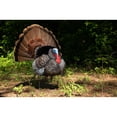 thumbnail image 2 of Higdon Apex Strutter Hard Body Turkey Decoy, 2 of 2