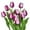 D, variant on Moocorvic 10Pcs Artificial Flowers for Outdoors Fake Tulips Silk Plants for Home Decor Indoor Home Kitchen Office Table Centerpieces Arrangements Christmas Decor