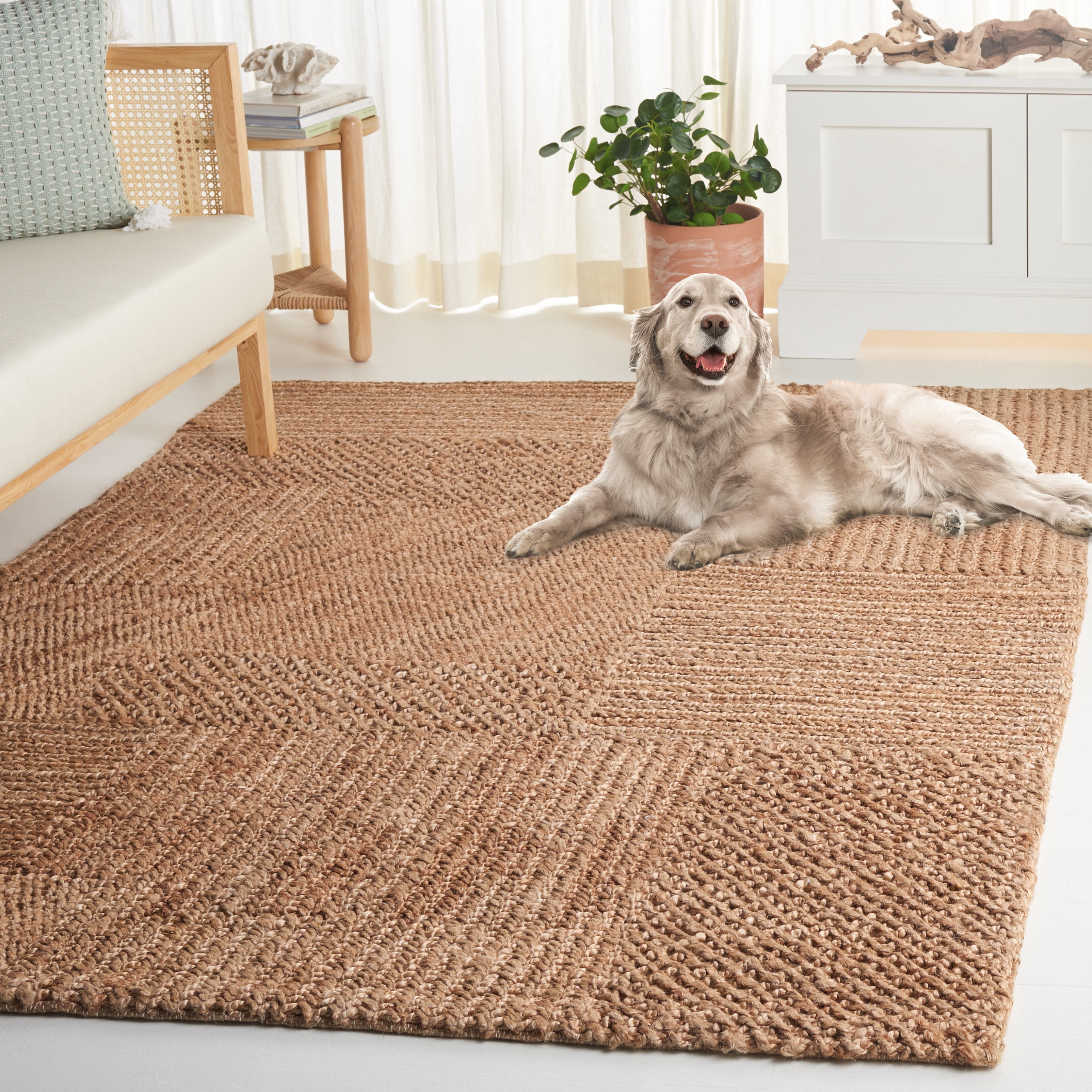 SAFAVIEH Natural Fiber Iacopo Solid Area Rug, Natural, 3' x 5'