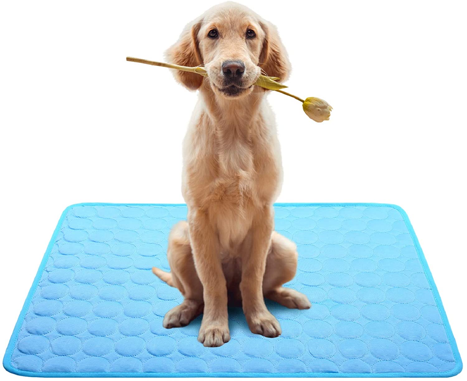 pets at home cooling mat