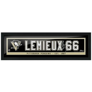 Men's Fanatics Branded Mario LeMieux Black Pittsburgh Penguins Premier Breakaway Retired Player Jersey