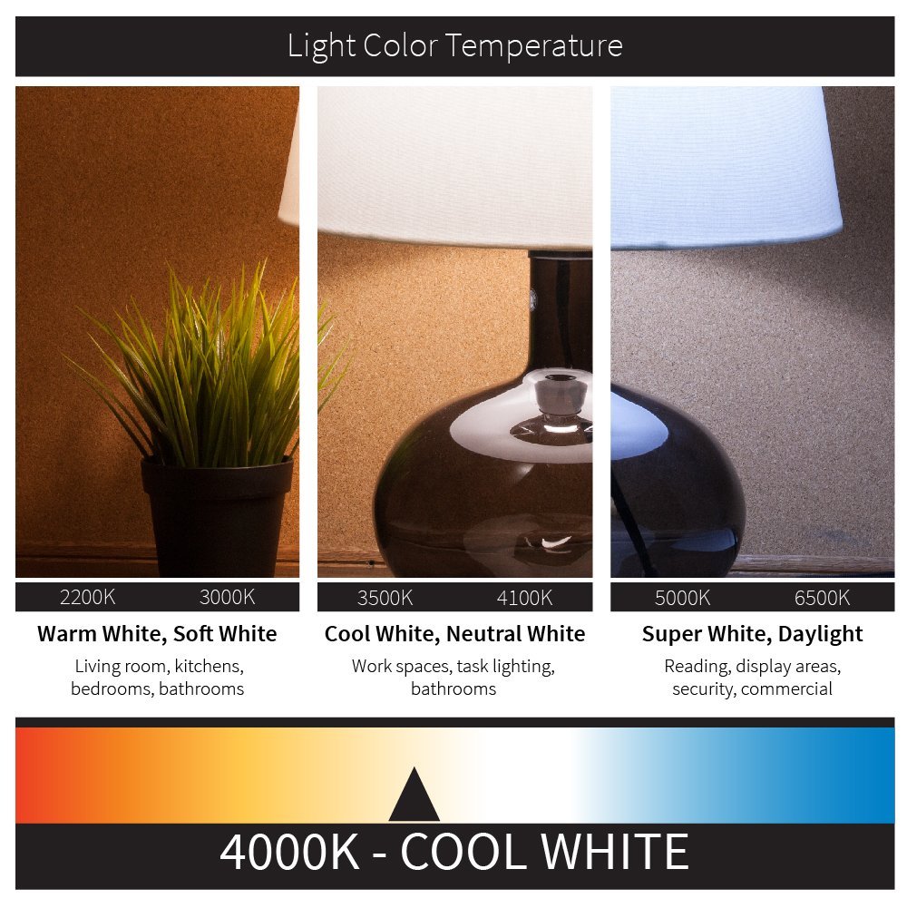 6-Pack Sunlite 18-Watt Dimmable LED PAR38 Reflector Bulb, 100W Incandescent Equivalent, Medium (E26) Base, Wide Flood, 4000K Cool White