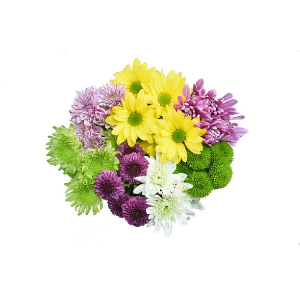 Small Rainbow Poms Fresh Cut Flowers Walmart Com