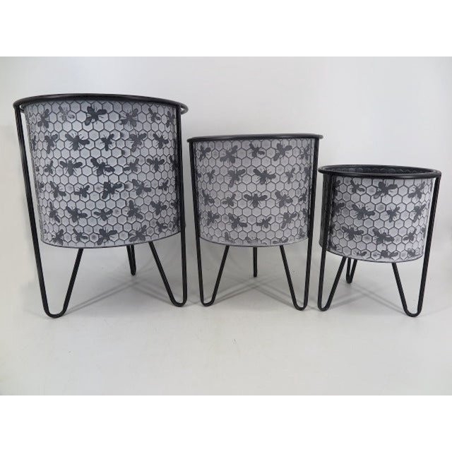 Set Of 3 Bees On White Washed Honeycomb Pattern With Metal Frame Planters