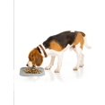 thumbnail image 5 of 1pc Silicone Slow Feeder Mat For Dogs & Cats, Anti-Choking & Anti-Gulping Pet Feeding Mat With Suction Cups, 5 of 5