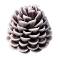 thumbnail image 2 of Scented Candles, Decorative Shaped Pinecone Aromatherapy Candle Set, Natural Wax Holiday Tabletop Decor Gift for Christmas Winter Home Dinner Party, 2 of 7