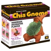 Gnome Classic Chia Pet Handmade Decorative Planter by JEI