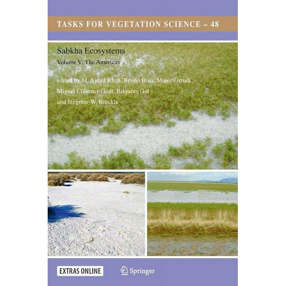 Tasks for Vegetation Science Sabkha Ecosystems: Volume V: The Americas, Book 48, (Hardcover)