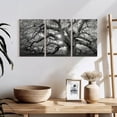 thumbnail image 3 of Elephant Stock Monochrome Angel Oak Tree Wall Art - Horizontal Multi Panel Canvas - Living Room Wall Decor - Floral And Botanical Multi Panel - Black And Gray Decor - 26" x 12", 3 of 8
