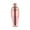 Rose Gold, variant on Professional Stainless Steel Cocktail Shaker Large Capacity For Mixing Drink