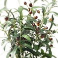 thumbnail image 4 of TETOU 30" 6pcs Artificial Olive Branches Long Stems Fake Greenery Plant Wedding Floral Arrangement Home Decor, 4 of 7