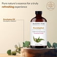 thumbnail image 3 of MAJESTIC PURE Eucalyptus Essential Oil | 100% Pure and Natural Eucalyptus Oil | Premium Grade Essential Oils for Hair Care, Home Diffusers, Skin, Aromatherapy, Massage and Humidifiers | 4 Fl Oz, 3 of 10