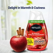 Renuzit Adjustable Solid Gel Air Freshener Cones, Apple & Cinnamon, Nonstop Freshness, 7 Ounces, 3 Cones