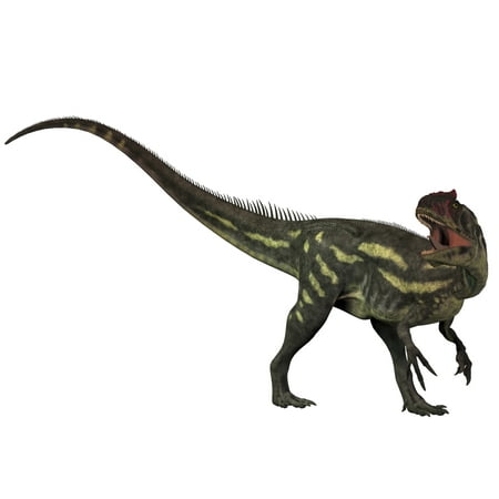 - Allosaurus a large theropod predatory dinosaur that lived in the late Jurassic period Poster Print