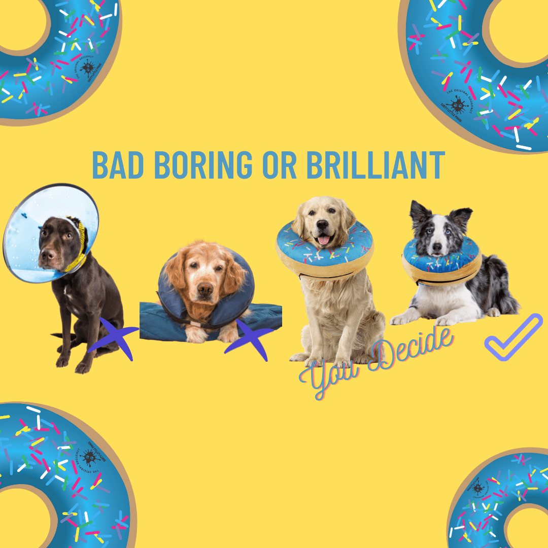 Dog Donut Collar | Great Alternative to a Traditional Dog Cone or a Soft Dog Cone Collar | Our Inflatable Dog Cone is an Excellent Cone for Dogs after Surgery | Dog Cones for Medium Dogs (Blue)