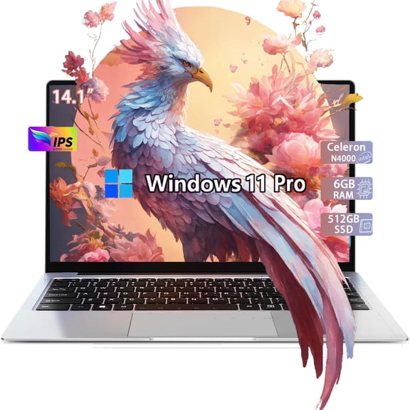 ESOOR 14.1 inch Lightweight Business Laptop Computer Windows 11 Pro 6GB RAM 512GB SSD FHD IPS Display Intel Celeron N4000 for Student, Home Office, Business (Silver)