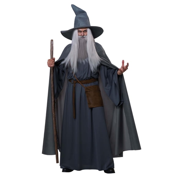 Wandering Wizard Adult Costume