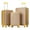 Champagne, variant on FOCHIER F Luggage sets 3 Pieces,Hardside Lightweight Suitcase with Spinner Wheels for Travel (20" 24" 28")