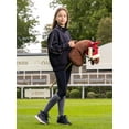 thumbnail image 3 of LeMieux Cheval de Passe-Temps Chancer - Pur-Sang Racing Bay - Tête Réaliste - Parfait pour Enfants, 3 of 3