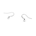 thumbnail image 2 of 100Piece Brass Earring Hooks Fish Hook Hook Dangle Earring Ear Wires French Wire Hooks White K, 2 of 8