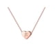 thumbnail image 1 of 26 Initial Heart Shape Alphabet Collar para Mujeres Collares de Acero Inoxidable para Mujeres A Z 26 Alphabet Initial Collares de Oro Rosa para Mujeres Niñas, 1 of 5