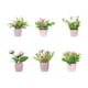 thumbnail image 3 of 6 piezas de flores artificiales en maceta, mini plantas rústicas en maceta. Estilo B, 3 of 9