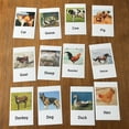 thumbnail image 3 of Montessori Animal Match Figuras de Aves de Corral en Miniatura 36 Piezas con Tarjetas 36 Piezas Baoblaze Tarjeta de animales de educación, 3 of 8