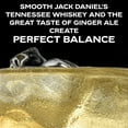 thumbnail image 3 of Jack Daniel's and Ginger Ale Canned Cocktail, 355 ml Can, 3 of 8