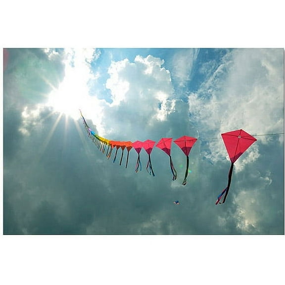 Trademark Art "70 Kites II" Canvas Art by Kurt Shaffer, 20x30