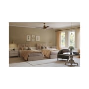 Penn Collection One-Light Natural Brass Clear Glass Farmhouse Pendant Light
