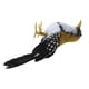 thumbnail image 5 of Pequeño Pájaro Artificial Adornos Decoración árbol de Taxidermia 5 Pulgadas, 5 of 9