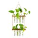 thumbnail image 3 of Matsuzay Jarrones de tubo de ensayo de 2 niveles, propagador de plantas hidropónicas, estación de propagación de plantas elegante Simple Decoración del hogar Marrón, 3 of 6