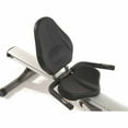Stamina Avari Conversion II Folding Rowing Machine/Recumbent Bike