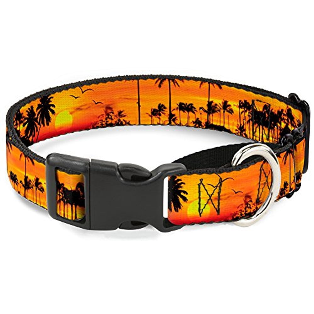 Buckle-Down Golden Sunset Martingale Dog Collar
