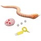 thumbnail image 2 of Juguete de simulación de Serpiente Con remoto Sunnimix Modelo de Serpiente Rosado, 2 of 8