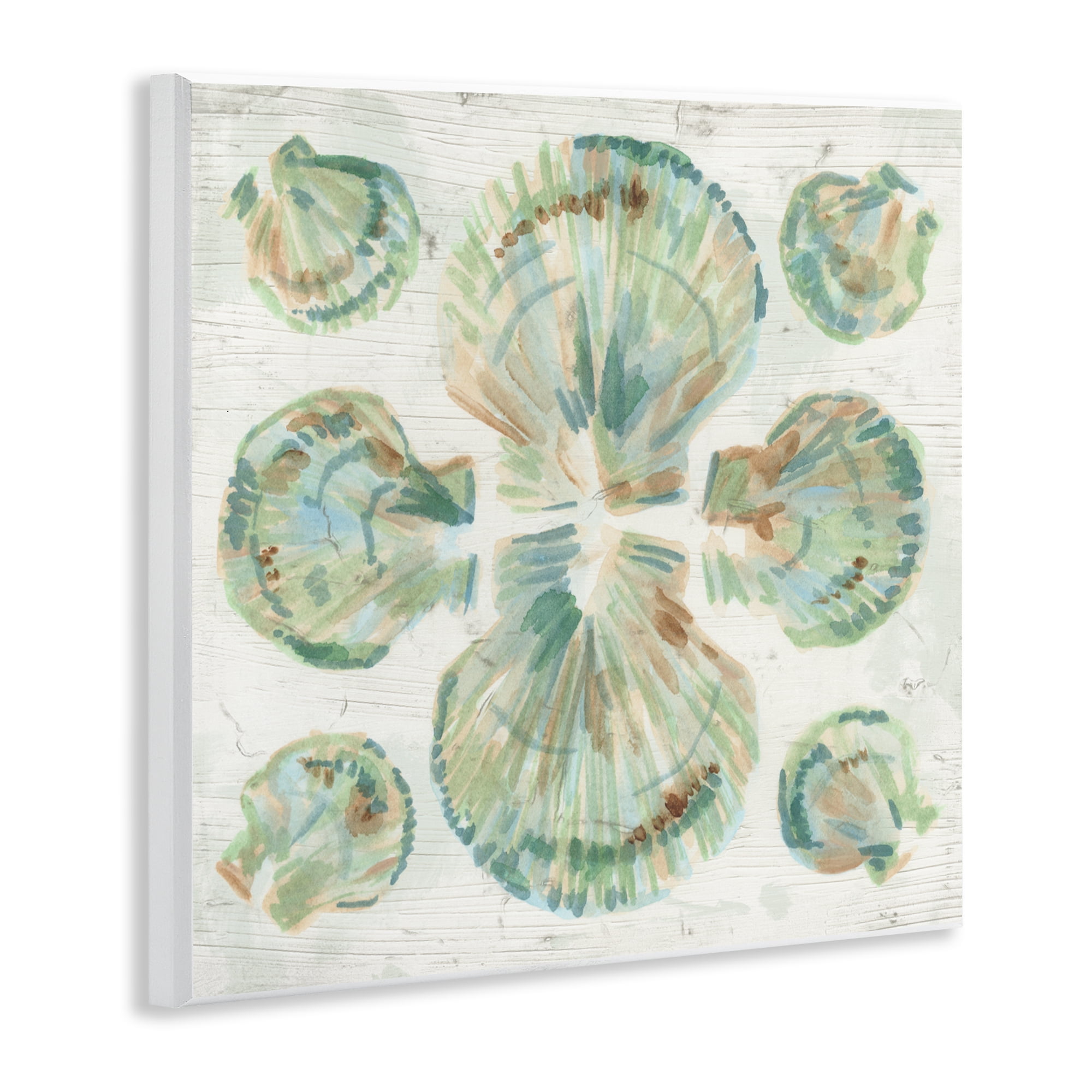 Stupell Industries Saltwashed Shells Symmetry Wall Plaque Art, design by June Erica Vess