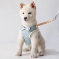 thumbnail image 2 of Pet Dog Harness And Leash Set  Breathable Puppy Dogs Mesh Walking Harness Vest For Chihuahua Small Dogs Cats, 2 of 7