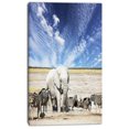 thumbnail image 2 of Éléphant Blanc Énorme et Zèbres - Impression sur Toile Abstraite, 2 of 3
