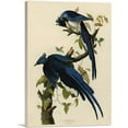 thumbnail image 1 of ARTCANVAS Columbia Jay Canvas Art Print by John James Audubon - Size: 18" x 12" (0.75" Deep), 1 of 9