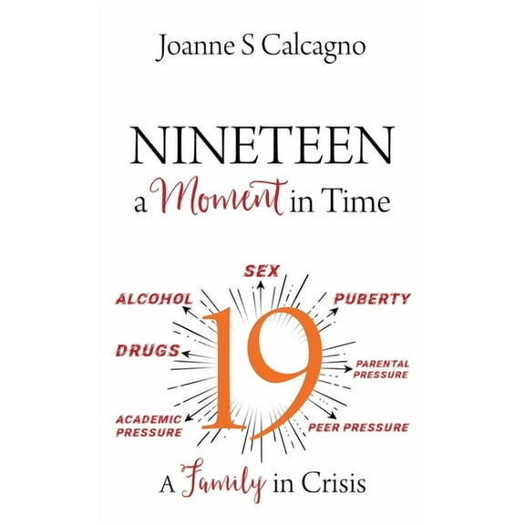 NINETEEN a Moment in Time: A Family in Crisis, (Paperback)