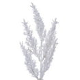 thumbnail image 2 of 48" Ivory Pampas Grass, 2 of 2