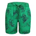 thumbnail image 1 of Traje de Baño Simply Basic Talla 10 Sustentable Ajustable de la Cintura Diseño Dinosaurios Verde, 1 of 4