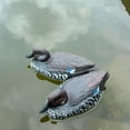 thumbnail image 4 of Modèles Réalistes de Canard Colvert Que les Passionnés de Chasse Aiment, Leurres, Ornements, 4 of 8
