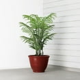 thumbnail image 5 of 16" Ferenza Planter, 5 of 5