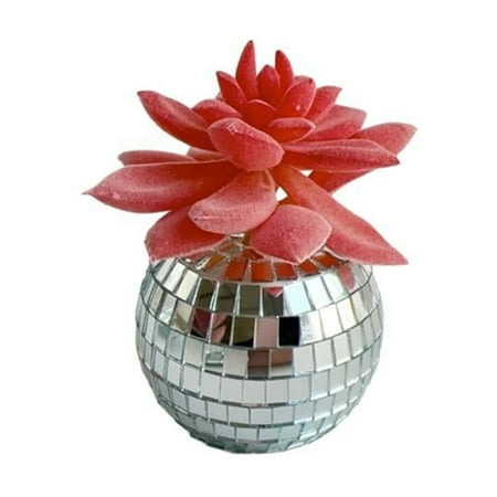 

Distinctive Succulent Like Glittering Sphere Ornament Captivating Potted Display For Home Bar And Table 2024 Clearance