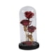 thumbnail image 3 of Adorno de regalo de rosa para San Valentín Lámpara de noche con bendición para San Valentín Rojo, 3 of 9