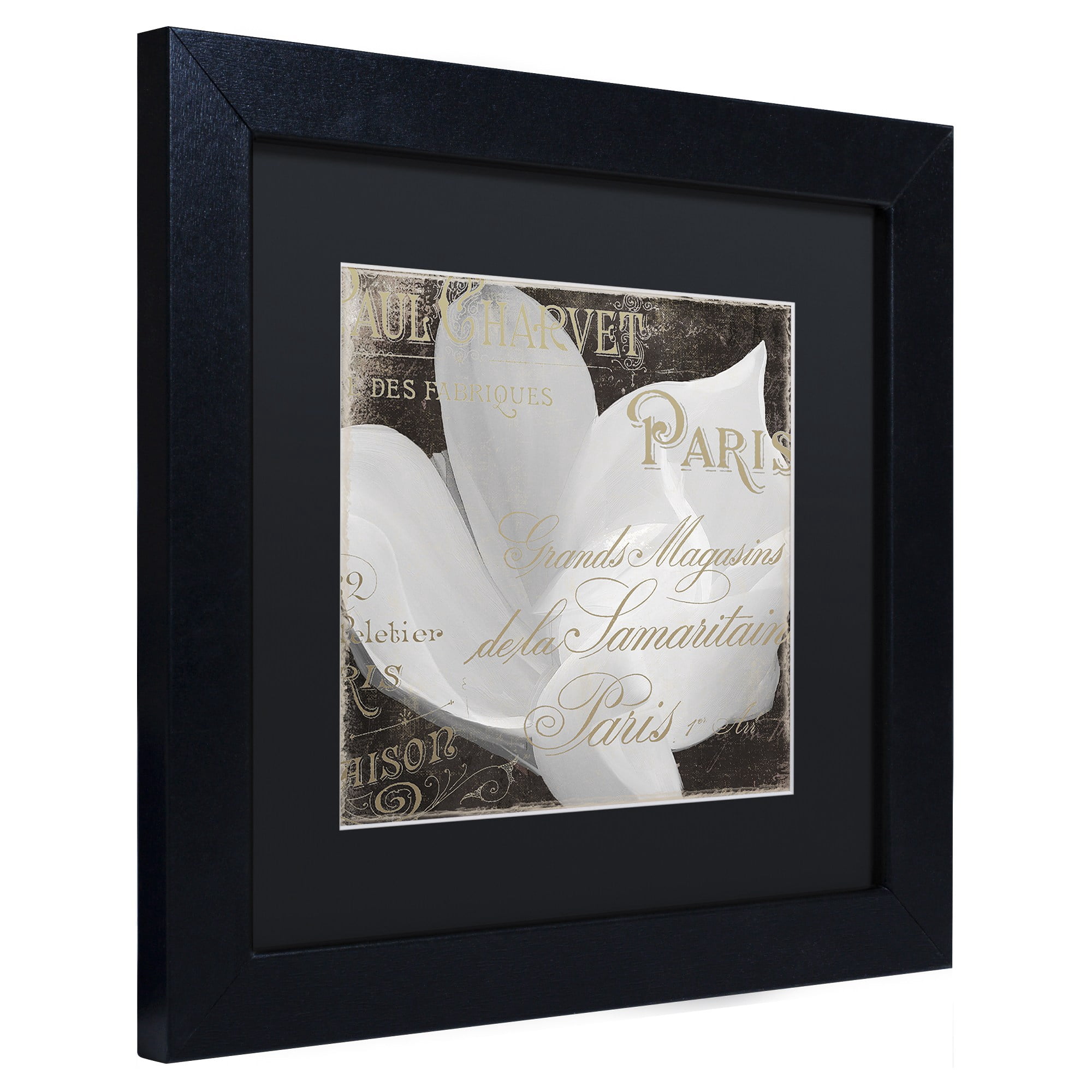 Trademark Fine Art "Fleurs Blanc II" Canvas Art by Color Bakery Black Matte, Black Frame