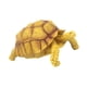 thumbnail image 3 of Figura de tortuga, juguete de tortuga, juguete educativo simulado, juego de tortuga pequeña amarillo, 3 of 9